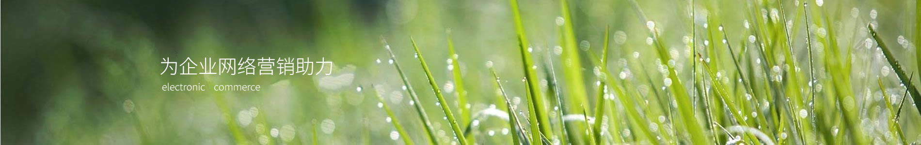İѧ޹˾